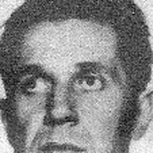 Portrait of Peter DiFronzo