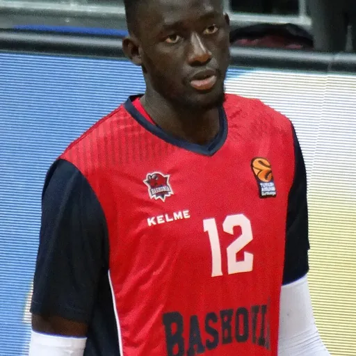 Portrait of Ilimane Diop