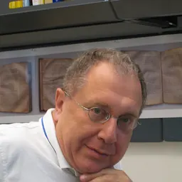 Portrait of Alexander Stepanov