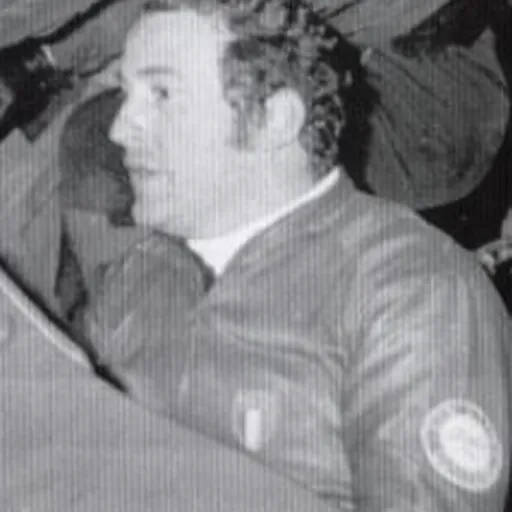Portrait of Gianfranco Gaspari
