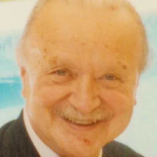 Portrait of Szabolcs Vajay