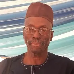 Portrait of Biodun Jeyifo