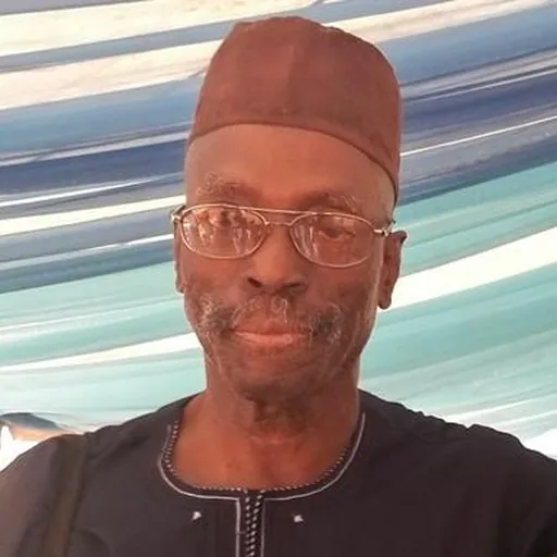 Portrait of Biodun Jeyifo