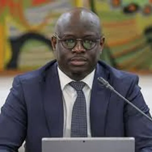 Portrait of Cheikh Diba