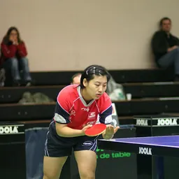 Portrait of Li Xue