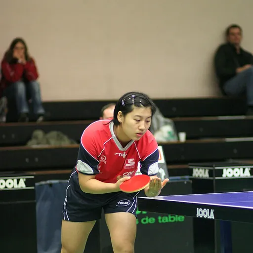 Portrait of Li Xue
