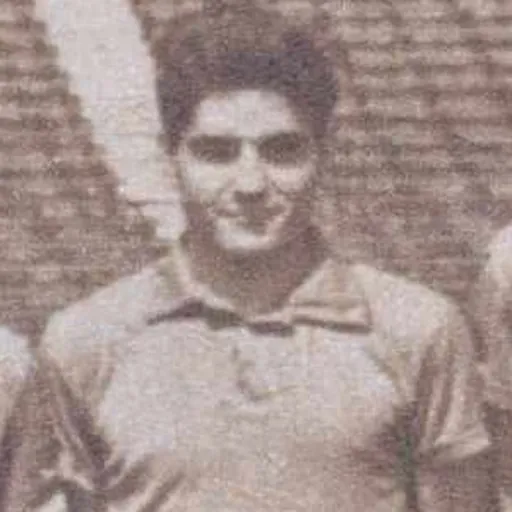 Portrait of Constantin Ștefan