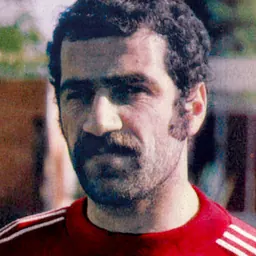 Portrait of Ali Niakani