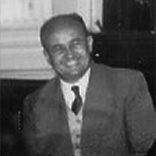 Portrait of Zoltán Komócsin