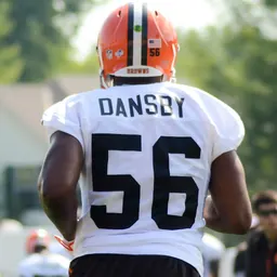 Portrait of Karlos Dansby