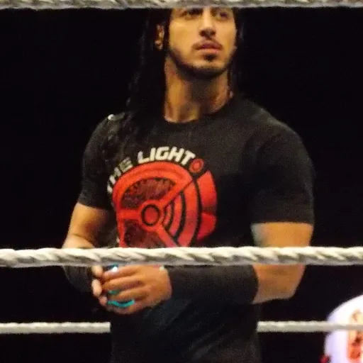 Portrait of Mustafa Ali