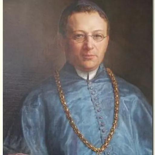 Portrait of Franciscus Jacobus van Vree