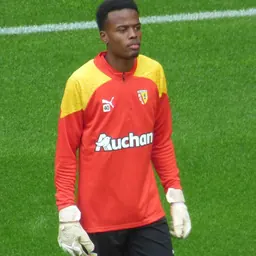 Portrait of Yannick Pandor