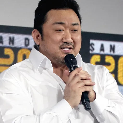 Portrait of Ma Dong-seok