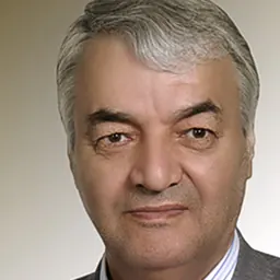 Portrait of Ali Khodadadi