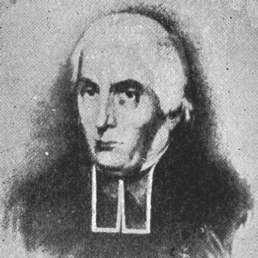 Portrait of Johann Theodor van der Noot