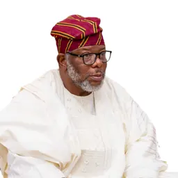 Portrait of Laoye Jaiyeola