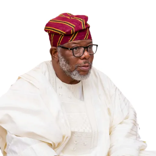 Portrait of Laoye Jaiyeola
