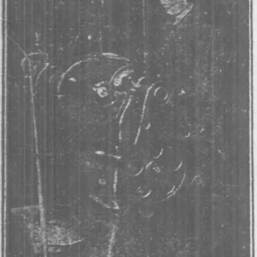 Portrait of Dorolyn Lines