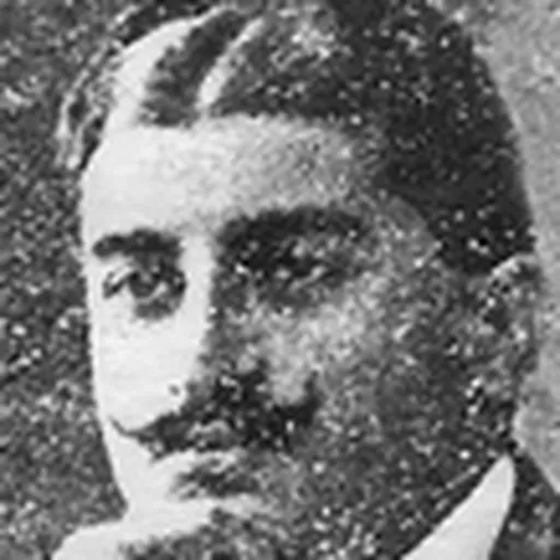 Portrait of Parunak Ferukhan