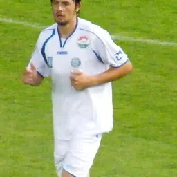 Portrait of Nenad Todorović