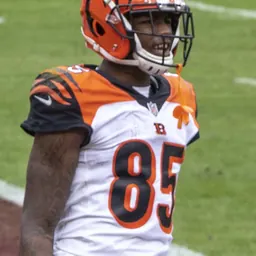 Portrait of Tee Higgins