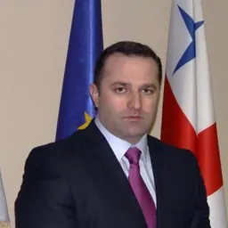 Portrait of Davit Sujashvili