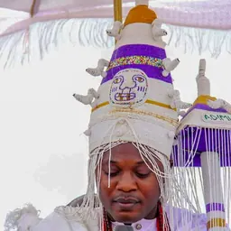 Portrait of Olusola Idris Osolo