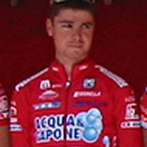 Portrait of Jure Golčer