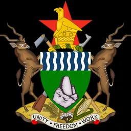 Portrait of Witness Mangwende