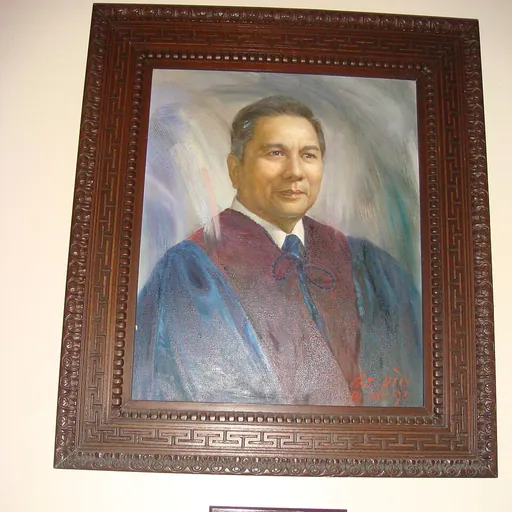 Portrait of Marcelo Fernan