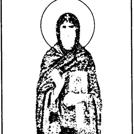 Portrait of Hilarion of Pelekete