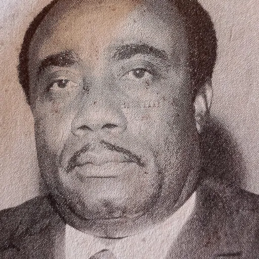 Portrait of Wenike Opurum Briggs
