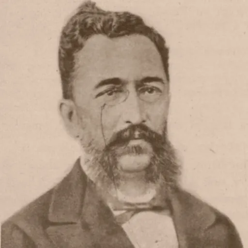 Portrait of Afonso Celso, Viscount of Ouro Preto