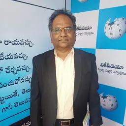 Portrait of Madabhushi Sridhar