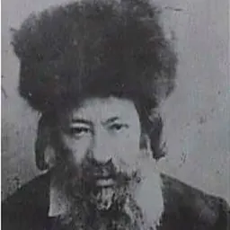 Portrait of Refael Shapiro