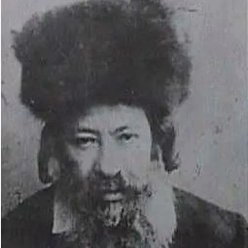 Portrait of Refael Shapiro
