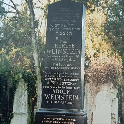 Portrait of Leopold Weinstein
