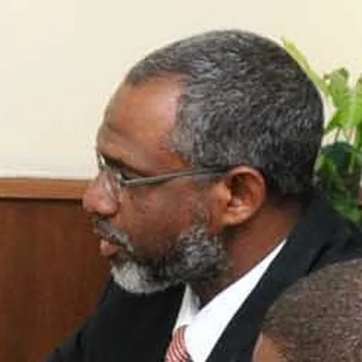 Portrait of Motazz Moussa