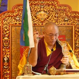 Portrait of Ayang Rinpoche