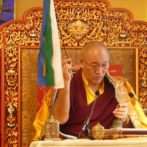 Portrait of Ayang Rinpoche