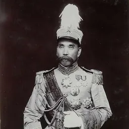 Portrait of Wang Zhanyuan