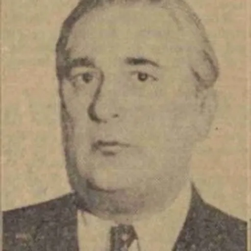 Portrait of Martin Bercovici