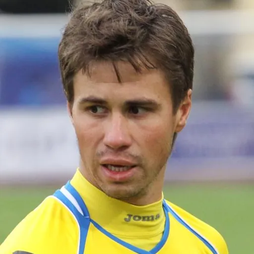 Portrait of Aleksandr Sheshukov