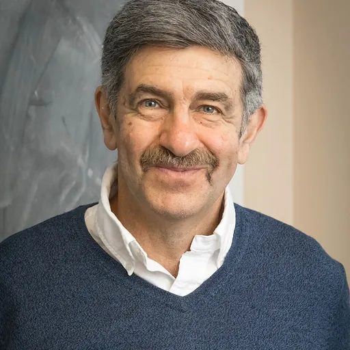 Portrait of Leonid Berlyand