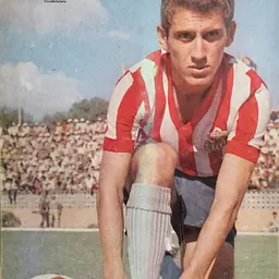 Portrait of Javier Valdivia