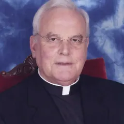Portrait of Carlos Amigo Vallejo