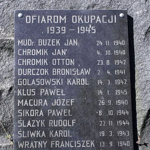 Portrait of Karol Śliwka