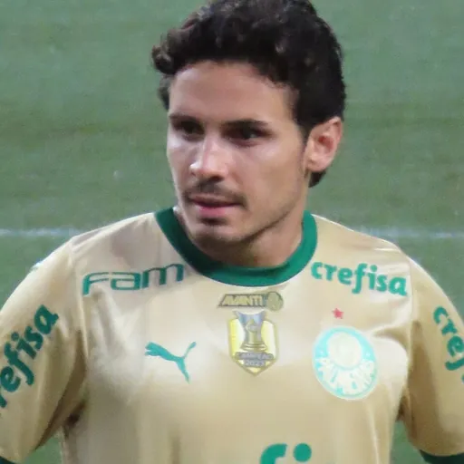 Portrait of Raphael Veiga