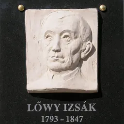 Portrait of Izsák Lőwy